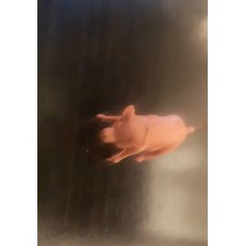 Figurine Cochon