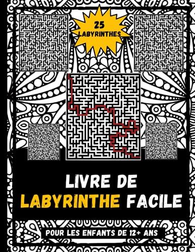 Livre De Labyrinthe Facile Pour Les Enfants De 12+ Ans: Cahier D'activitã©S Labyrinthes Facile Pour Enfants, Filles Et Garã§Ons