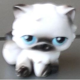 Figurine Petshop Hasbro 2007 Chat