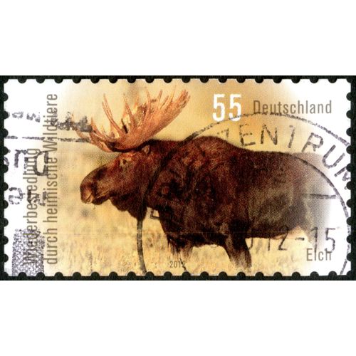 Timbre Oblitéré Deutschland, Elch, Wiederbesiedlung Durch Heimische Wildtiere, 2012, 55
