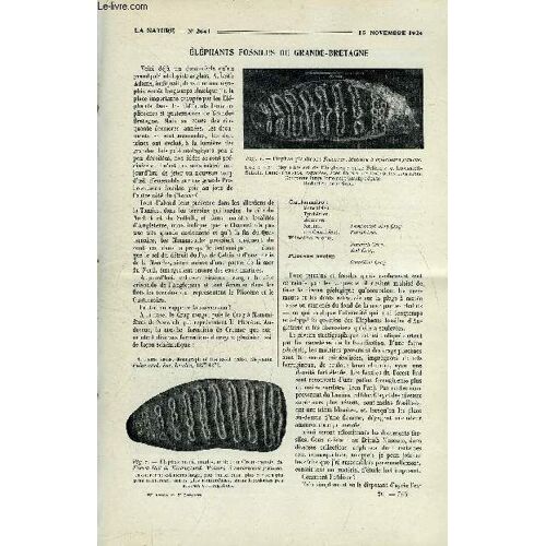 La Nature N° 2641 - Eléphants Fossiles De Grande-Bretagne Par Pontier, La Lumière Du Ciel Nocturne Par Boutaric, Les Cités Jardins De La Compagnie De Chemin De Fer Du Nord Par Boyer, L Huile De(...)