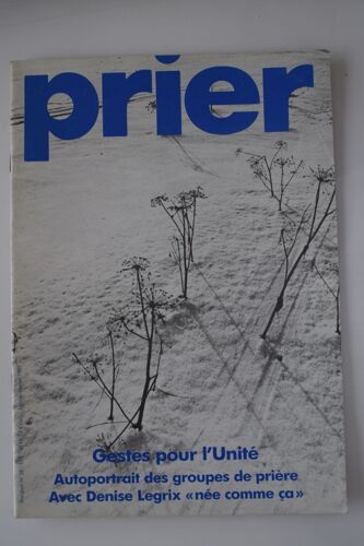 Prier 28 Gestes Pour L'unité. Autoportrait Des Groupes De Prière. Avec Denise Legrix "Née Comme Ça"
