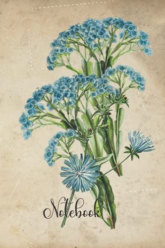 Notebook: Vintage Blue Flowers 6''x9'' 120 Pages