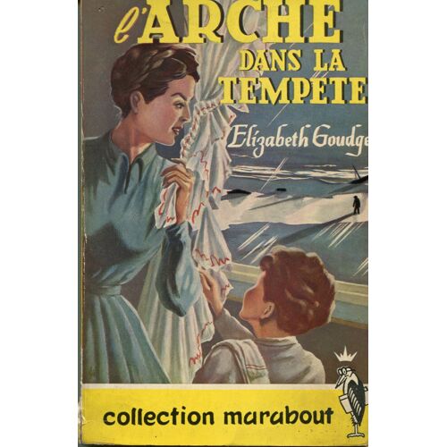 L'arche Dans La Tempete