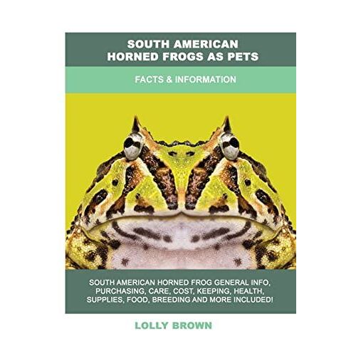 South American Horned Frogs As Pets