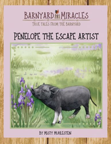 Barnyard Miracles: True Tales From The Barnyard: Penelope The Escape Artist