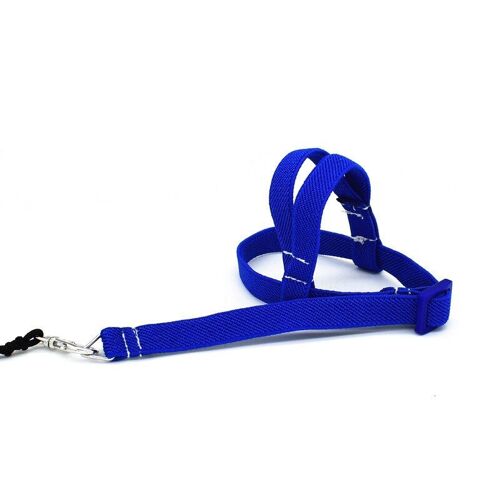 Harnais Pour Oiseau Perroquet, Ceinture À Mouche, Entraînement En Plein Air, Corde De Traction, Pour Perroquet