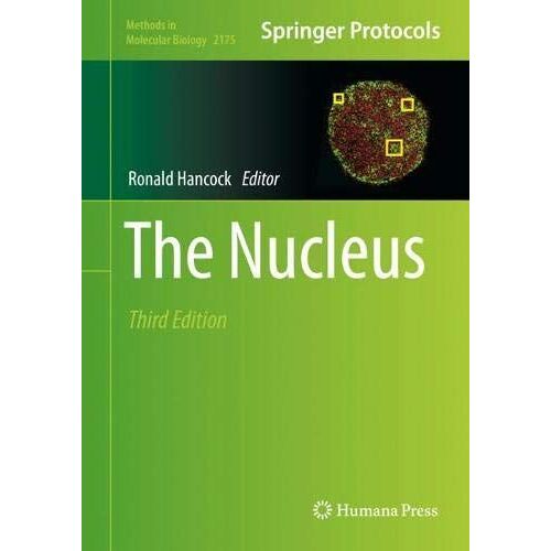 The Nucleus