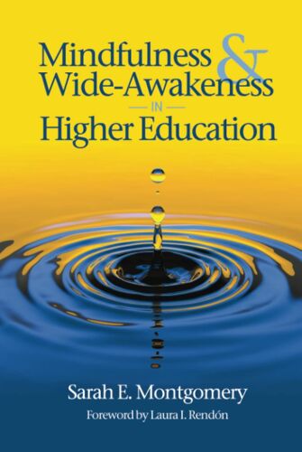 Mindfulness & Wide-Awakeness In Higher Education