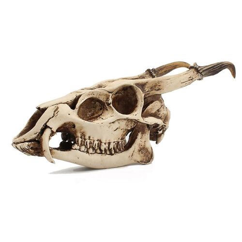 Imitation Wild Goat Skull Desktop Ornaments Home Interior Decor For Creative Mod