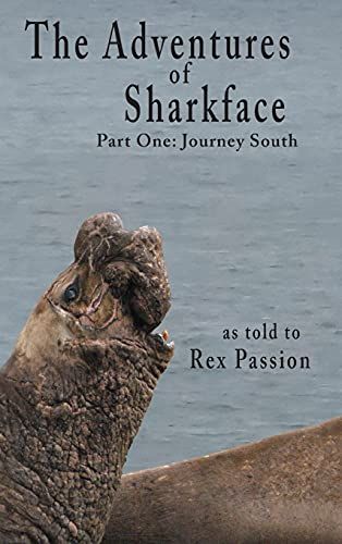The Adventures Of Sharkface