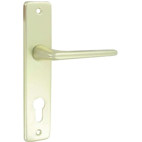 Ensemble aluminium anodisé champagne Gets DT 2000 - Clé I - Cylindre