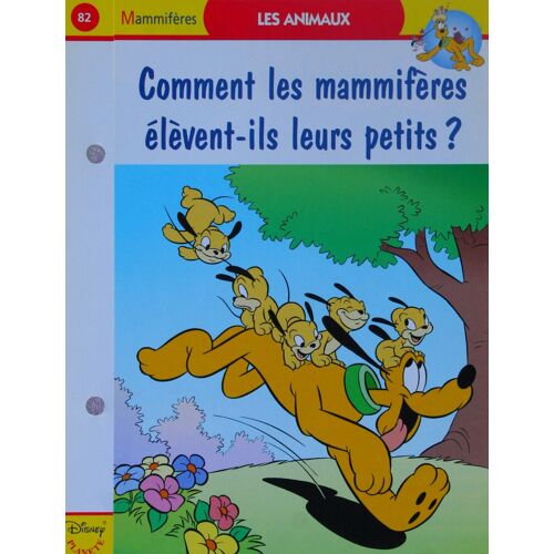 Fiche Disney Planete Comment Les Mammifères Élèvent-Ils Leurs Petits ?