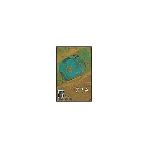 Z 2 A