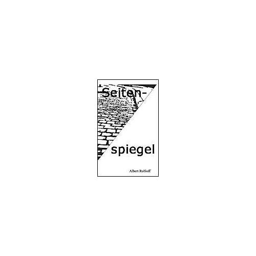 Seitenspiegel