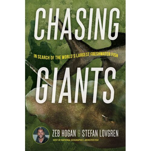 Chasing Giants