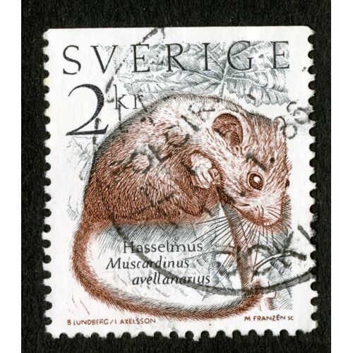 Timbre Oblitéré Sverige, Hasselmus, Muscardinus Avellanarius, 2kr