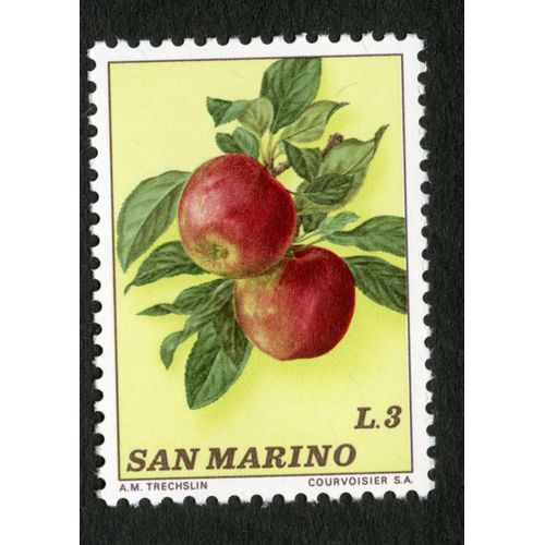 Timbre Non Oblitéré San Marino, Pommes, L.3,