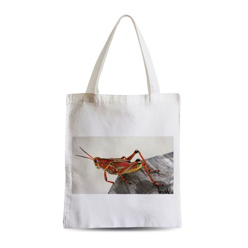 Grand Sac Shopping Plage Etudiant Superbe Sauterelle Rouge Insecte Animal Photo