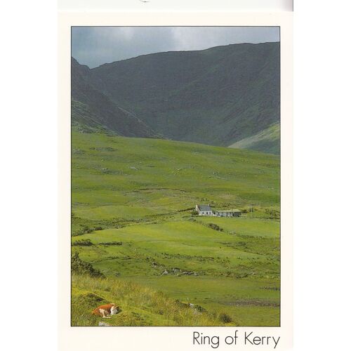 " Paysage Typique De L'anneau De Kerry ", Irlande.