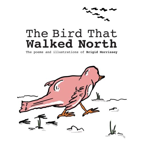 The Bird That Walked North