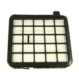 Filtre hepa et moteur - Aspirateur (9178011268 BEKO)