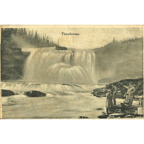 Tannforsen - Suede