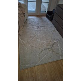 Tapis De Salon, Gris Clair Avecvdes Motifs Dorés Et Blanc.