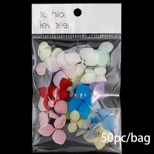Nouveau Paquet De Fleurs Séchées Pour Décoration Des Ongles, Autocollants De Manucure Naturels, Feuille D'hortensia, Décor 3d, Pointes D'ongles, Bricolage De Bijoux De Remplissage