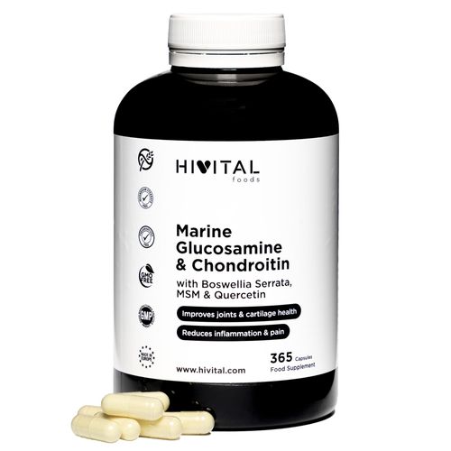 Glucosamine Avec Chondroïtine | 365 Gélules. Avec Msm, Boswellia Serrata Et Quercétine. Anti-Inflammatoire Naturel Qui Réduit Les Douleurs Et Les Inflammations Articulaires Et Renforce Les Os Et Les 