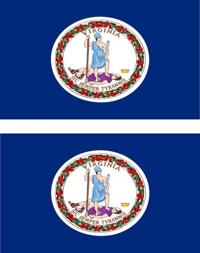 2 X Autocollant Sticker Voiture Pc Vinyl Macbook Drapeau Usa Americain Virginie