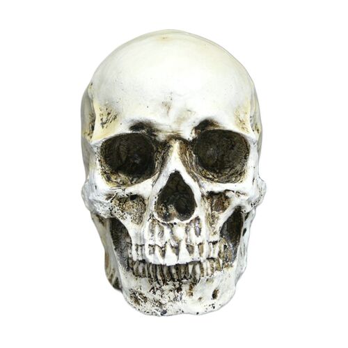 Figurine en résine en forme de crâne pour Halloween, Figurine décorative, pour les magasins et la maison, nouvelle collection