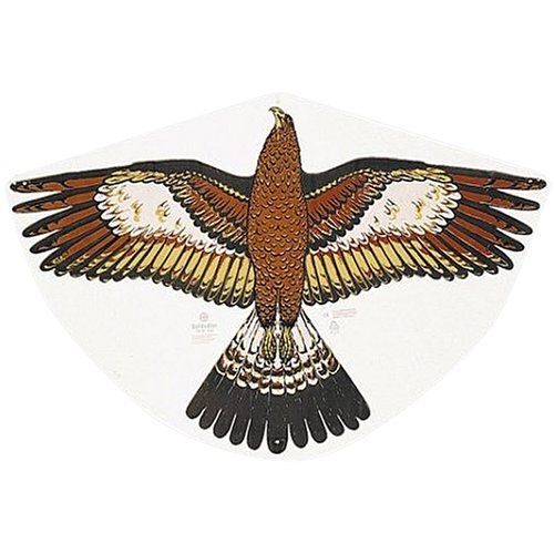 Gunther - 1180 - Jeu De Plein Air - Cerf-Volant Monofil - Goldadler En Feuilles De Pe