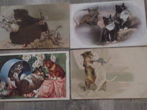 Quatre Cartes Chatons
