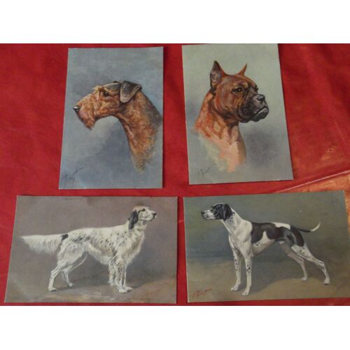Quatre Portraits De Chiens Signés Rivst
