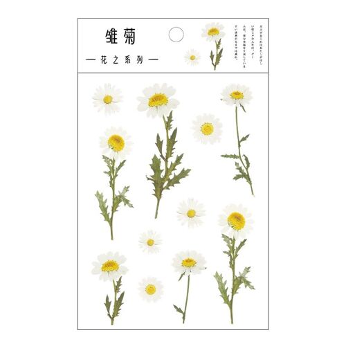 Autocollants Herbiers Transparents, Fleurs, Feuilles, Plantes, Marguerite, Trèfle, Naturel, Japonais, Décorations Adhésives, Matériau Plastique Pet, Esthétique, 12 Dessins