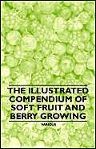The Illustrated Compendium Of Soft Fruit And Berry Growing