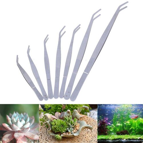 Pincettes Coudées En Acier Inoxydable Pour Aquarium, 1 Pièce, Outils De Réparation Médicale