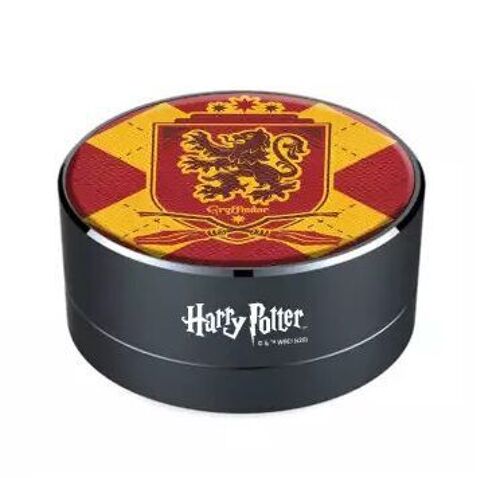 Enceinte Harry Potter Gryffondor