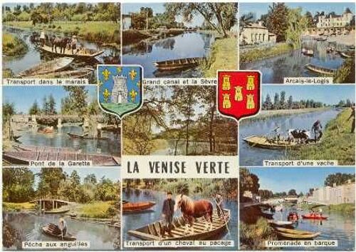 Deux-Sèvres Horse Postcard La Venise Verte Carte Postale Cheval Dans Une Barque 