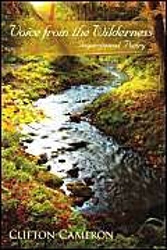 Voice From The Wilderness