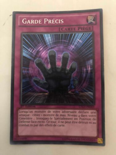 Garde Précis Ltgy-Fr069 Secret Rare