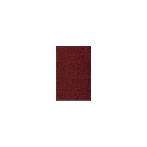Particulars, Actuality, And Identity Over Time, Vol 4