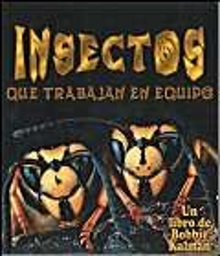 Insectos Que Trabajan En Equipo (Insects That Work Together)