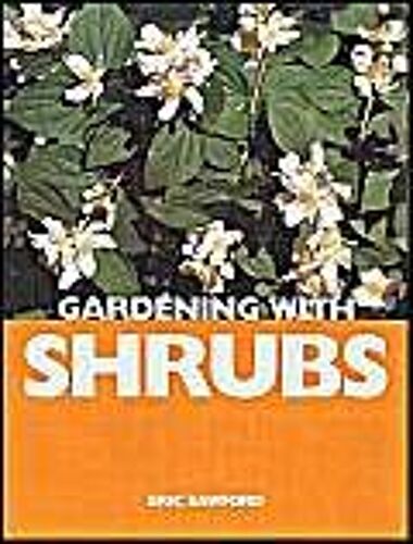 Gardening With Shrubs