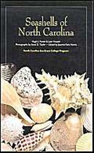 Seashells Of North Carolina