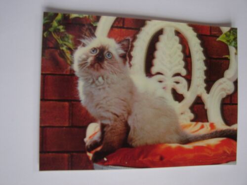 Carte Postale "En Relief" Toppan Top Stéréo - Chat 