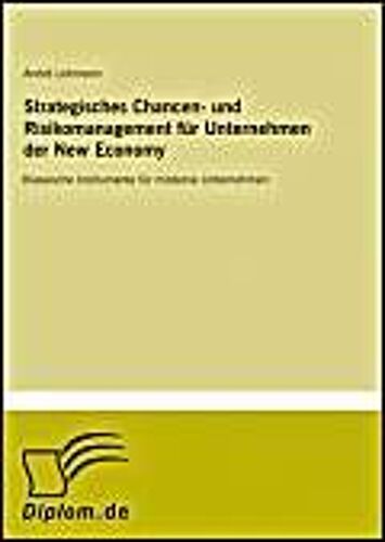 Strategisches Chancen- Und Risikomanagement Für Unternehmen Der New Economy