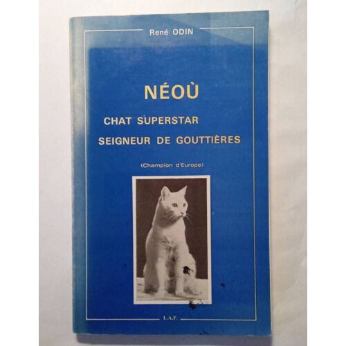 Neou, Chat Superstar, Signeur De Gouttieres