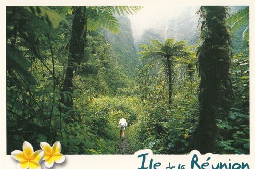Ile De La Réunion, " St Benoit : Forêt De Grand Etang ".